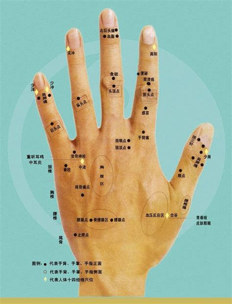 手指長痣代表什麼 招人緣植物